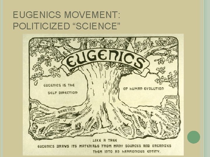 EUGENICS MOVEMENT: POLITICIZED “SCIENCE” 