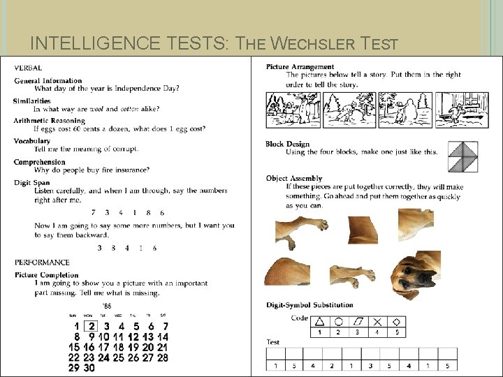 INTELLIGENCE TESTS: THE WECHSLER TEST WESCHLER SCALES 