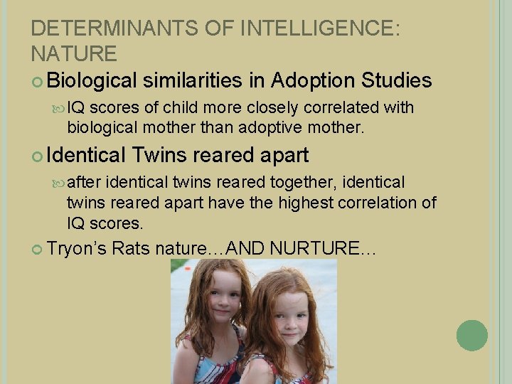 DETERMINANTS OF INTELLIGENCE: NATURE Biological similarities in Adoption Studies IQ scores of child more