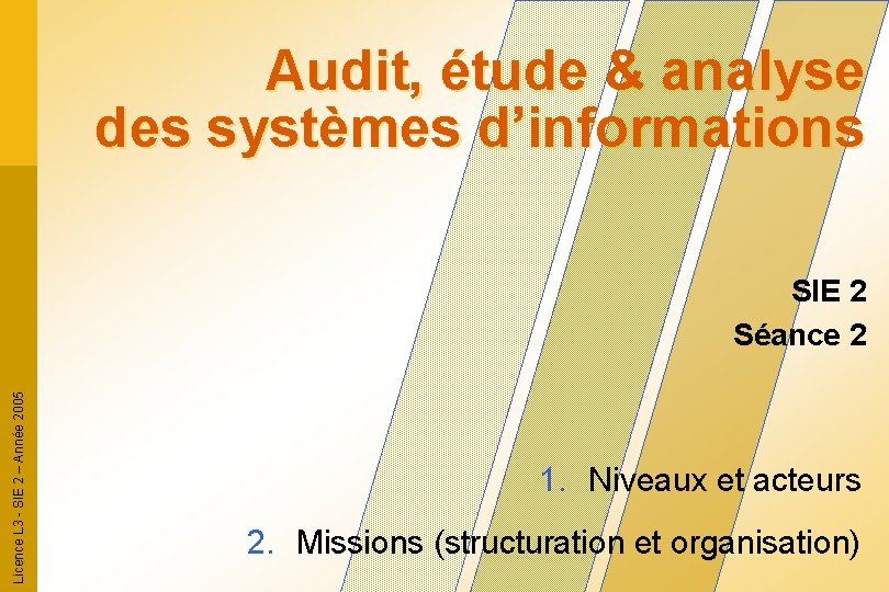 Audit, étude & analyse des systèmes d’informations Licence L 3 - SIE 2 –