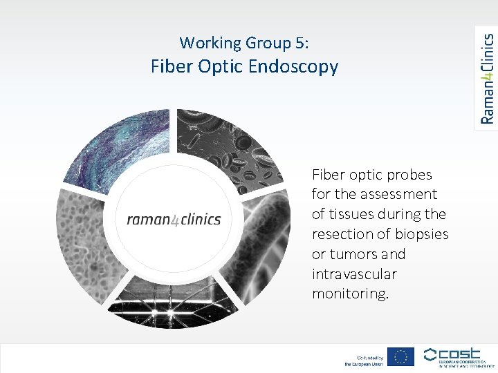 Working Group 5: Fiber Optic Endoscopy Fiber optic probes for the assessment of tissues