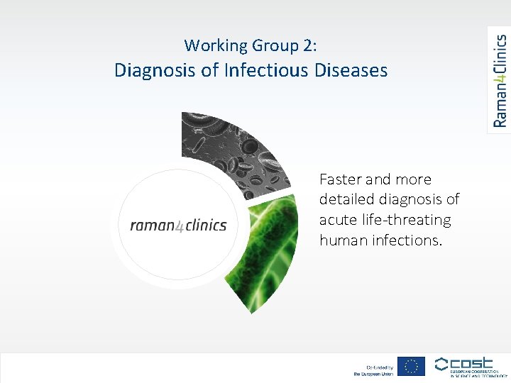 Working Group 2: Diagnosis of Infectious Diseases Faster and more detailed diagnosis of acute