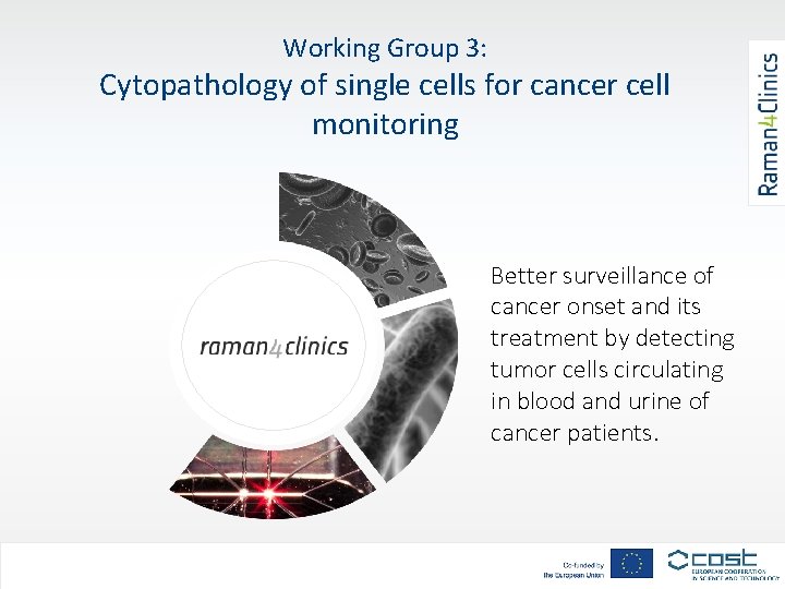 Working Group 3: Cytopathology of single cells for cancer cell monitoring Better surveillance of