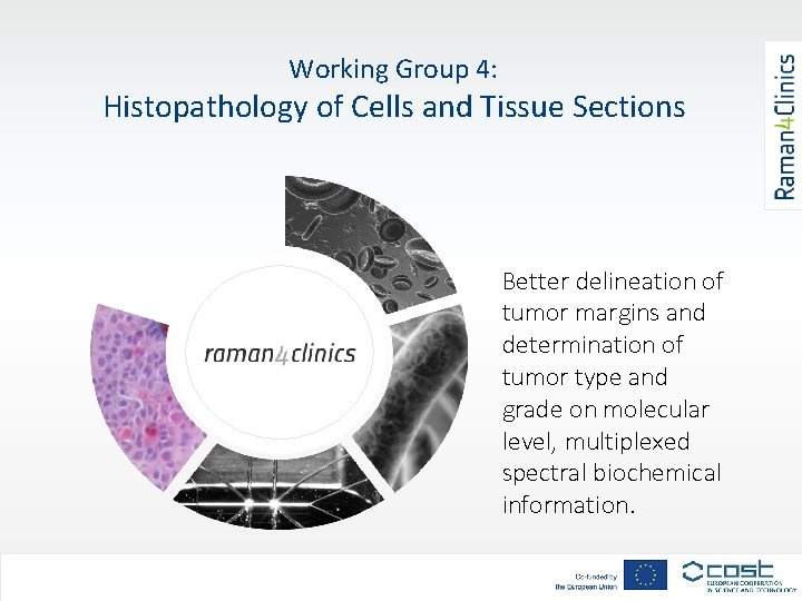 Working Group 4: Histopathology of Cells and Tissue Sections Better delineation of tumor margins