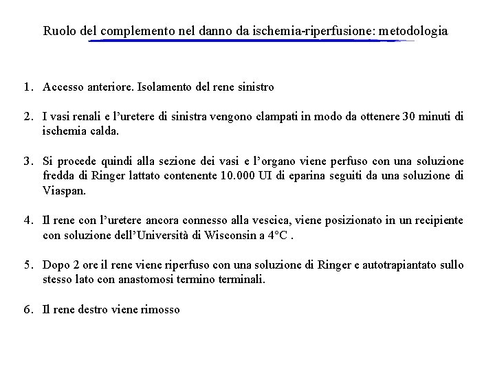 Ruolo del complemento nel danno da ischemia-riperfusione: metodologia 1. Accesso anteriore. Isolamento del rene