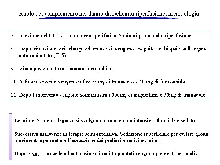 Ruolo del complemento nel danno da ischemia-riperfusione: metodologia 7. Iniezione del C 1 -INH