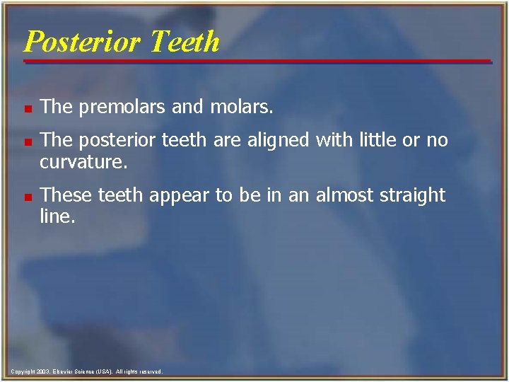 Posterior Teeth n n n The premolars and molars. The posterior teeth are aligned