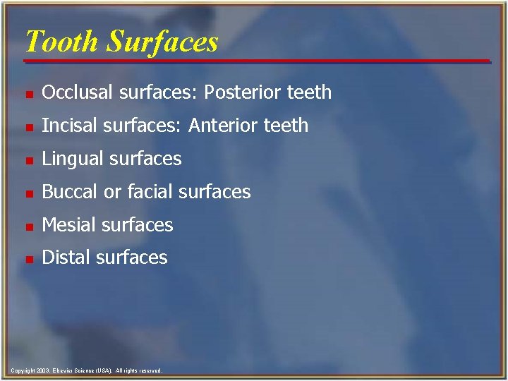 Tooth Surfaces n Occlusal surfaces: Posterior teeth n Incisal surfaces: Anterior teeth n Lingual