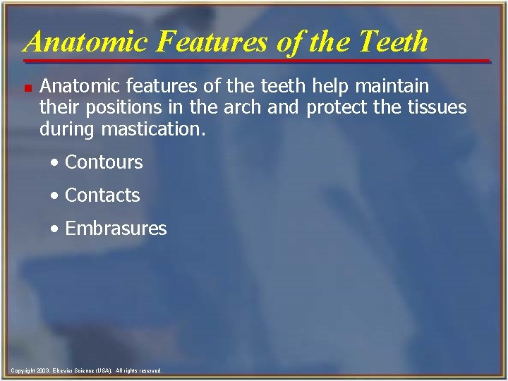 Anatomic Features of the Teeth n Anatomic features of the teeth help maintain their