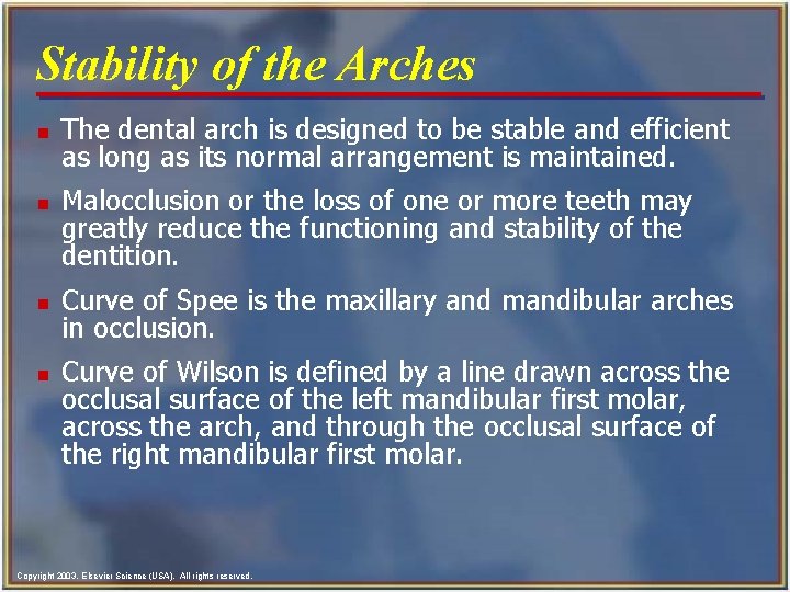 Stability of the Arches n n The dental arch is designed to be stable