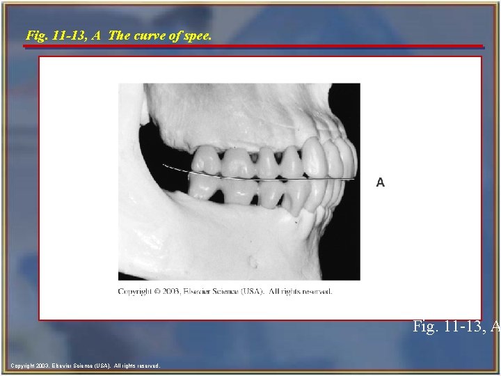 Fig. 11 -13, A The curve of spee. Fig. 11 -13, A Copyright 2003,