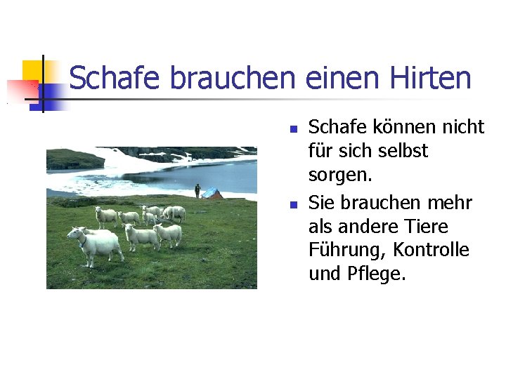 Schafe brauchen einen Hirten Schafe können nicht für sich selbst sorgen. Sie brauchen mehr