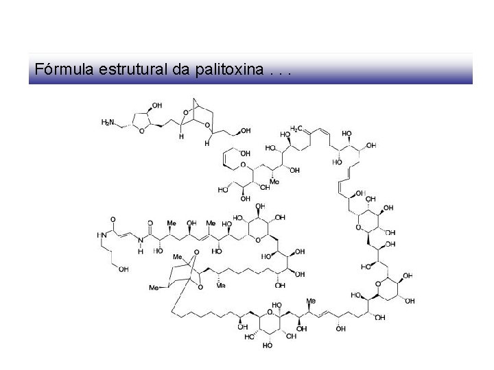 Fórmula estrutural da palitoxina. . . 