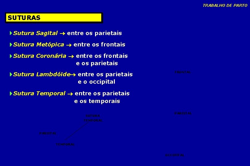 TRABALHO DE PARTO SUTURAS Sutura Sagital entre os parietais Sutura Metópica entre os frontais TRABALHO DE PARTO SUTURAS Sutura Sagital entre os parietais Sutura Metópica entre os frontais