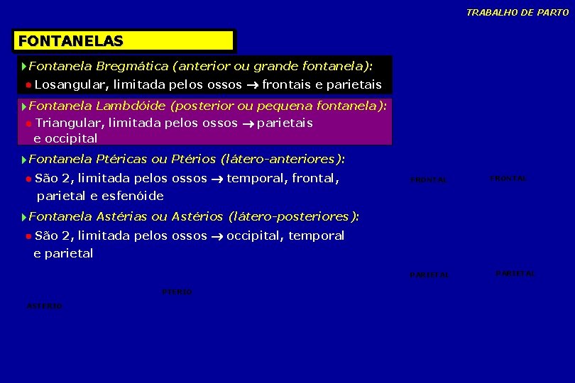 TRABALHO DE PARTO FONTANELAS Fontanela Bregmática (anterior ou grande fontanela): Losangular, limitada pelos ossos TRABALHO DE PARTO FONTANELAS Fontanela Bregmática (anterior ou grande fontanela): Losangular, limitada pelos ossos