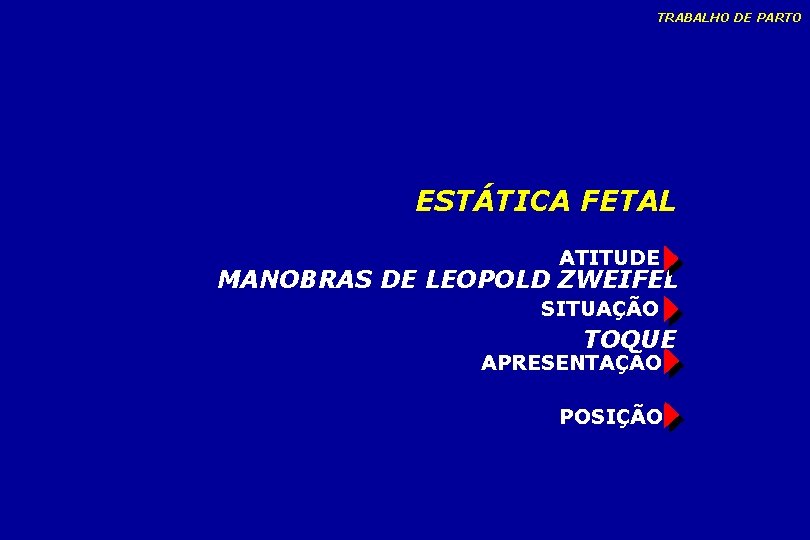 TRABALHO DE PARTO ESTÁTICA FETAL ATITUDE MANOBRAS DE LEOPOLD ZWEIFEL SITUAÇÃO TOQUE APRESENTAÇÃO POSIÇÃO TRABALHO DE PARTO ESTÁTICA FETAL ATITUDE MANOBRAS DE LEOPOLD ZWEIFEL SITUAÇÃO TOQUE APRESENTAÇÃO POSIÇÃO