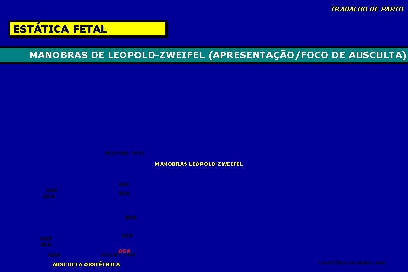 TRABALHO DE PARTO ESTÁTICA FETAL MANOBRAS DE LEOPOLD-ZWEIFEL (APRESENTAÇÃO/FOCO DE AUSCULTA) REZENDE, 1995 MANOBRAS TRABALHO DE PARTO ESTÁTICA FETAL MANOBRAS DE LEOPOLD-ZWEIFEL (APRESENTAÇÃO/FOCO DE AUSCULTA) REZENDE, 1995 MANOBRAS