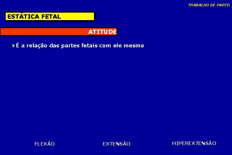 TRABALHO DE PARTO ESTÁTICA FETAL ATITUDE É a relação das partes fetais com ele TRABALHO DE PARTO ESTÁTICA FETAL ATITUDE É a relação das partes fetais com ele
