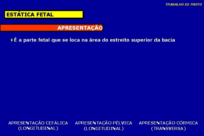 TRABALHO DE PARTO ESTÁTICA FETAL APRESENTAÇÃO É a parte fetal que se loca na TRABALHO DE PARTO ESTÁTICA FETAL APRESENTAÇÃO É a parte fetal que se loca na