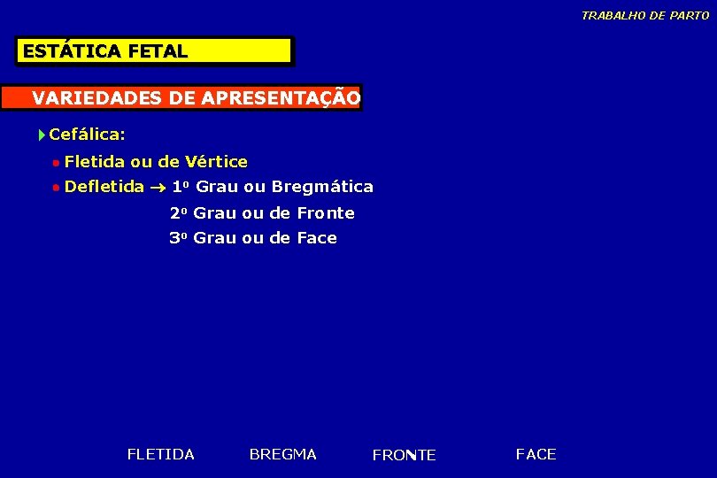 TRABALHO DE PARTO ESTÁTICA FETAL VARIEDADES DE APRESENTAÇÃO Cefálica: Fletida ou de Vértice Defletida TRABALHO DE PARTO ESTÁTICA FETAL VARIEDADES DE APRESENTAÇÃO Cefálica: Fletida ou de Vértice Defletida