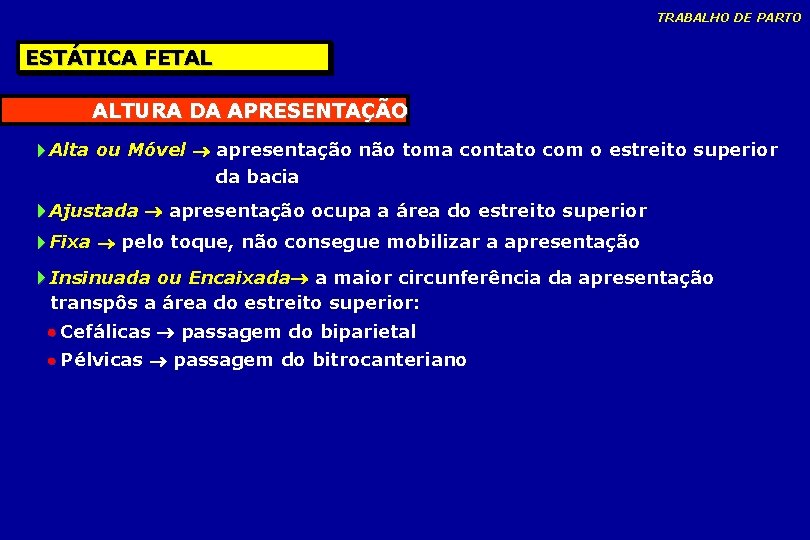 TRABALHO DE PARTO ESTÁTICA FETAL ALTURA DA APRESENTAÇÃO Alta ou Móvel apresentação não toma TRABALHO DE PARTO ESTÁTICA FETAL ALTURA DA APRESENTAÇÃO Alta ou Móvel apresentação não toma