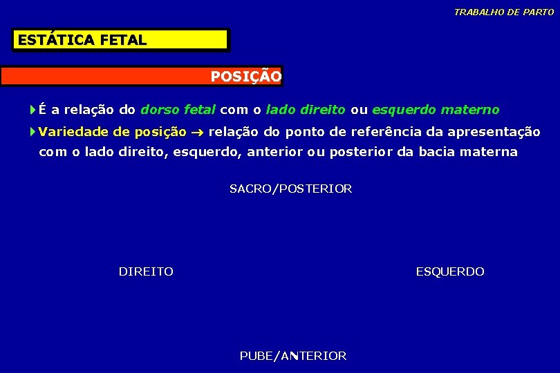 TRABALHO DE PARTO ESTÁTICA FETAL POSIÇÃO É a relação do dorso fetal com o TRABALHO DE PARTO ESTÁTICA FETAL POSIÇÃO É a relação do dorso fetal com o