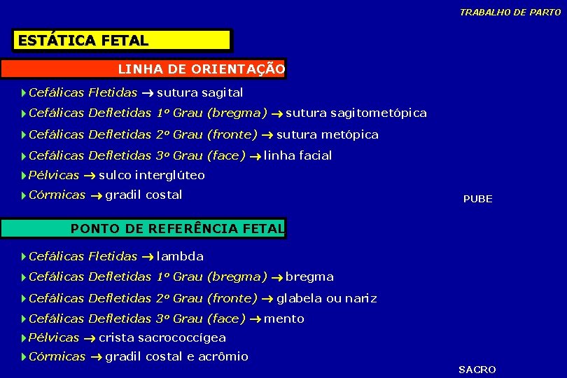 TRABALHO DE PARTO ESTÁTICA FETAL LINHA DE ORIENTAÇÃO Cefálicas Fletidas sutura sagital Cefálicas Defletidas TRABALHO DE PARTO ESTÁTICA FETAL LINHA DE ORIENTAÇÃO Cefálicas Fletidas sutura sagital Cefálicas Defletidas