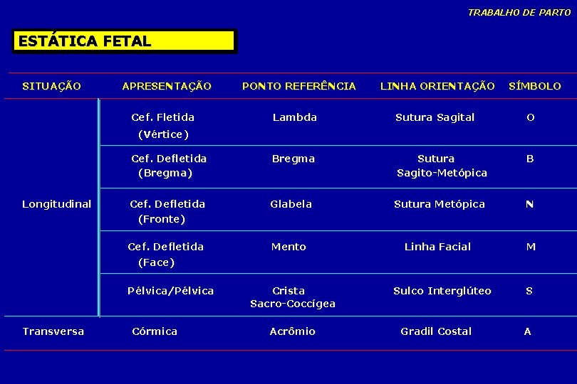 TRABALHO DE PARTO ESTÁTICA FETAL SITUAÇÃO APRESENTAÇÃO Cef. Fletida PONTO REFERÊNCIA LINHA ORIENTAÇÃO SÍMBOLO TRABALHO DE PARTO ESTÁTICA FETAL SITUAÇÃO APRESENTAÇÃO Cef. Fletida PONTO REFERÊNCIA LINHA ORIENTAÇÃO SÍMBOLO