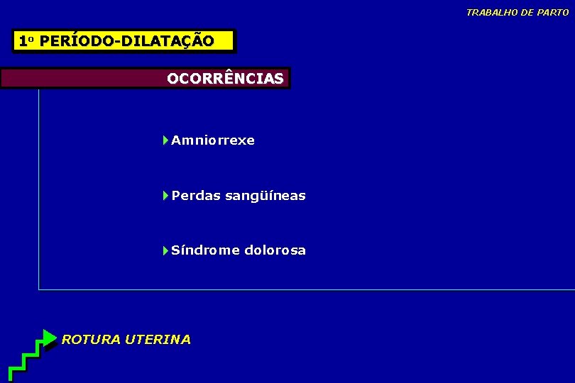 TRABALHO DE PARTO 1 o PERÍODO-DILATAÇÃO OCORRÊNCIAS Amniorrexe Perdas sangüíneas Síndrome dolorosa ROTURA UTERINA TRABALHO DE PARTO 1 o PERÍODO-DILATAÇÃO OCORRÊNCIAS Amniorrexe Perdas sangüíneas Síndrome dolorosa ROTURA UTERINA