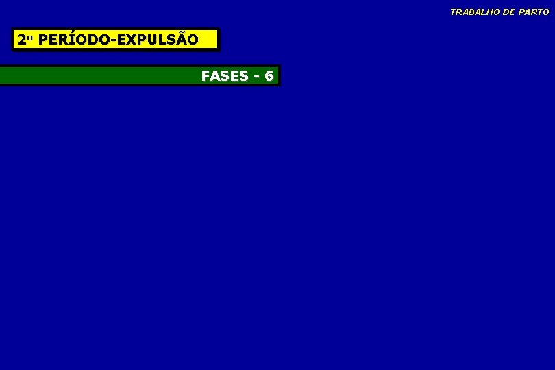 TRABALHO DE PARTO 2 o PERÍODO-EXPULSÃO FASES - 6 TRABALHO DE PARTO 2 o PERÍODO-EXPULSÃO FASES - 6