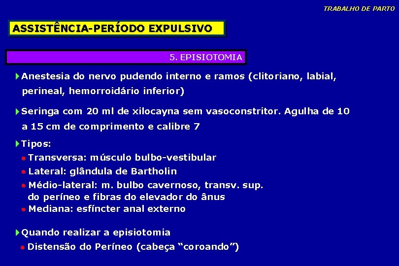 TRABALHO DE PARTO ASSISTÊNCIA-PERÍODO EXPULSIVO 5. EPISIOTOMIA Anestesia do nervo pudendo interno e ramos TRABALHO DE PARTO ASSISTÊNCIA-PERÍODO EXPULSIVO 5. EPISIOTOMIA Anestesia do nervo pudendo interno e ramos