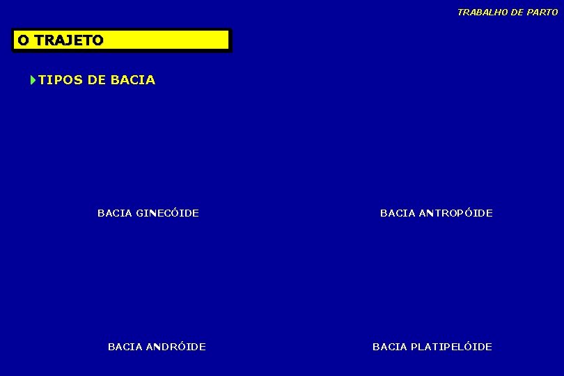 TRABALHO DE PARTO O TRAJETO TIPOS DE BACIA GINECÓIDE BACIA ANDRÓIDE BACIA ANTROPÓIDE BACIA TRABALHO DE PARTO O TRAJETO TIPOS DE BACIA GINECÓIDE BACIA ANDRÓIDE BACIA ANTROPÓIDE BACIA