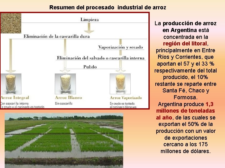 Resumen del procesado industrial de arroz La producción de arroz en Argentina está concentrada