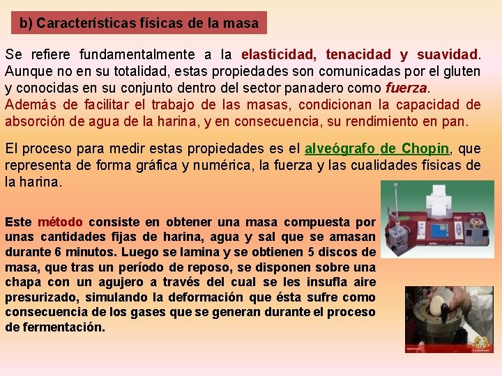 b) Características físicas de la masa Se refiere fundamentalmente a la elasticidad, tenacidad y