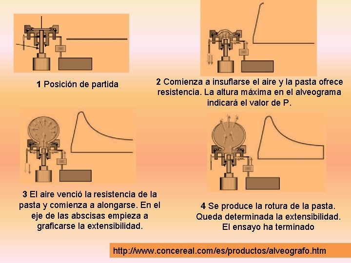 1 Posición de partida 2 Comienza a insuflarse el aire y la pasta ofrece