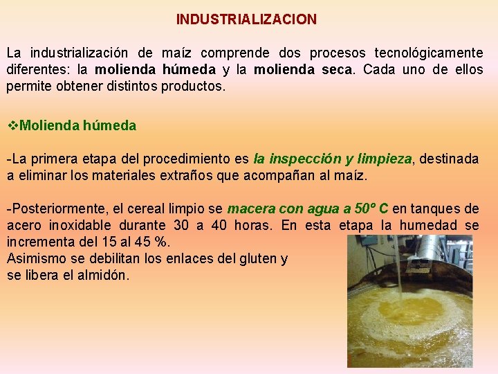INDUSTRIALIZACION La industrialización de maíz comprende dos procesos tecnológicamente diferentes: la molienda húmeda y