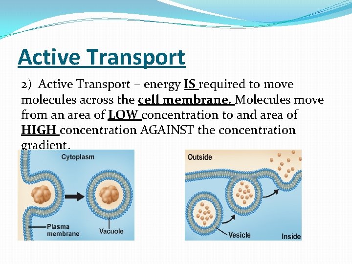 Active Transport 2) Active Transport – energy IS required to move molecules across the