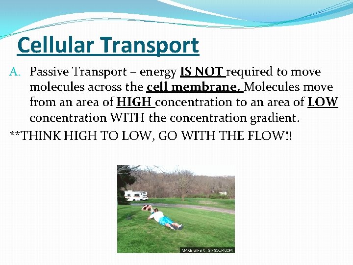 Cellular Transport A. Passive Transport – energy IS NOT required to move molecules across