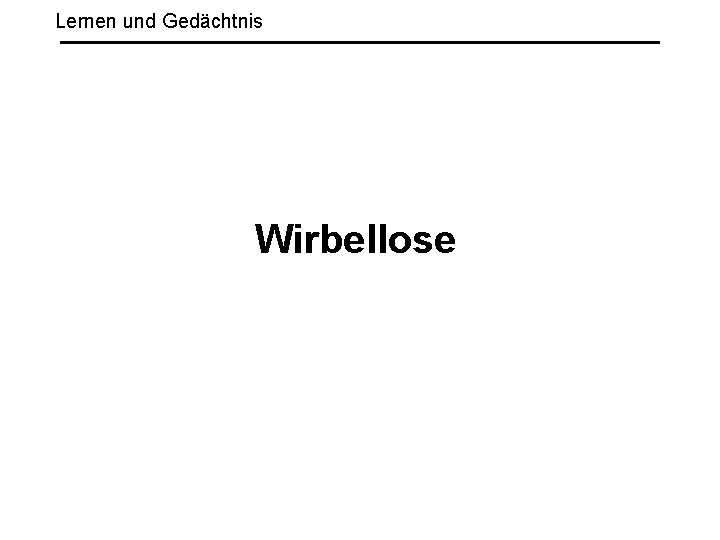 Lernen und Gedächtnis Wirbellose 