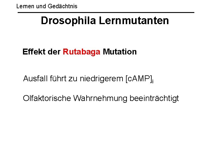 Lernen und Gedächtnis Drosophila Lernmutanten Effekt der Rutabaga Mutation Ausfall führt zu niedrigerem [c.