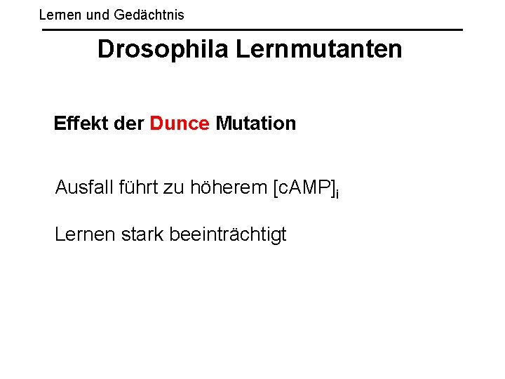 Lernen und Gedächtnis Drosophila Lernmutanten Effekt der Dunce Mutation Ausfall führt zu höherem [c.