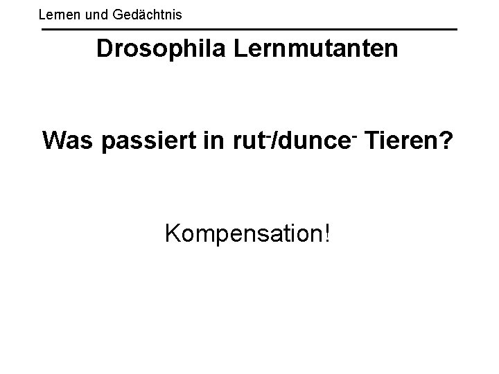 Lernen und Gedächtnis Drosophila Lernmutanten Was passiert in rut-/dunce- Tieren? Kompensation! 