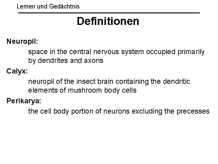 Lernen und Gedächtnis Definitionen Neuropil: space in the central nervous system occupied primarily by