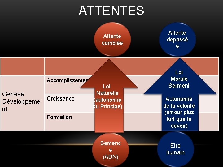 ATTENTES Attente comblée Accomplissement Genèse Développeme nt Croissance Loi Naturelle (autonomie du Principe) Formation ATTENTES Attente comblée Accomplissement Genèse Développeme nt Croissance Loi Naturelle (autonomie du Principe) Formation