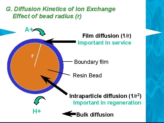 G. Diffusion Kinetics of Ion Exchange Effect of bead radius (r) A+ r Film G. Diffusion Kinetics of Ion Exchange Effect of bead radius (r) A+ r Film