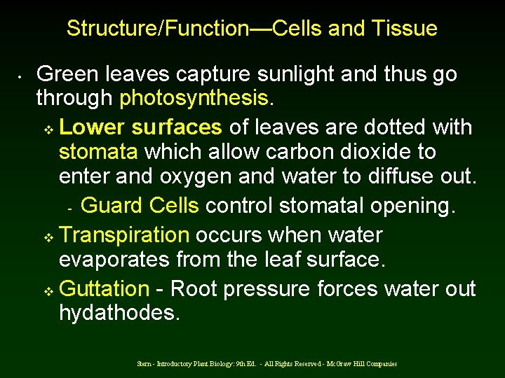 Structure/Function—Cells and Tissue • Green leaves capture sunlight and thus go through photosynthesis. v