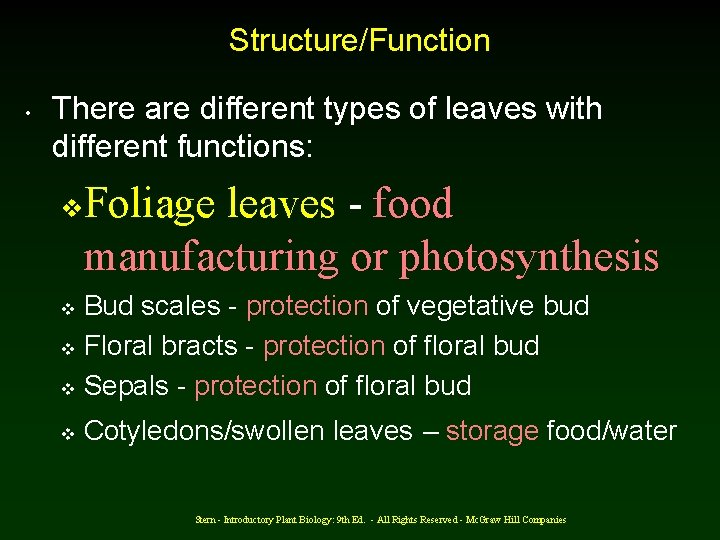 Structure/Function • There are different types of leaves with different functions: v Foliage leaves