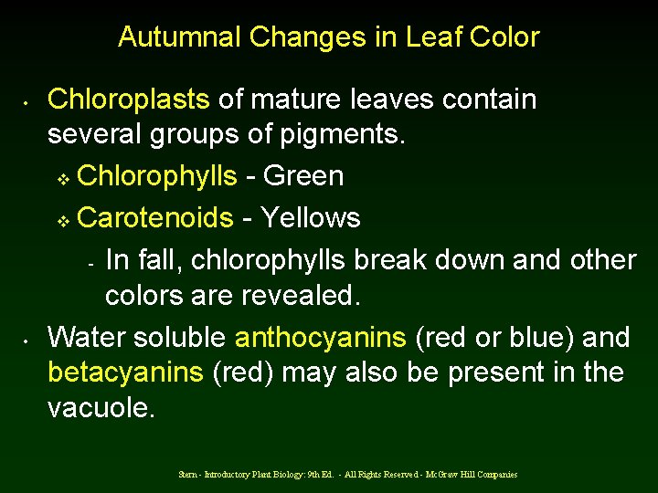 Autumnal Changes in Leaf Color • • Chloroplasts of mature leaves contain several groups