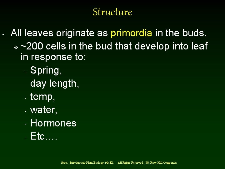 Structure • All leaves originate as primordia in the buds. v ~200 cells in