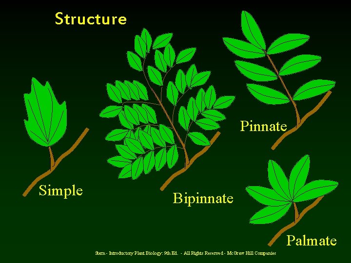 Structure Pinnate Simple Bipinnate Palmate Stern - Introductory Plant Biology: 9 th Ed. -